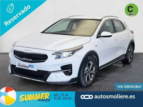 Used KIA XCEED Petrol 2022 Ad 