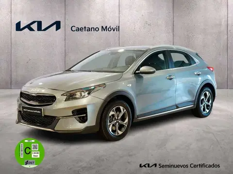 Used KIA XCEED Petrol 2022 Ad 