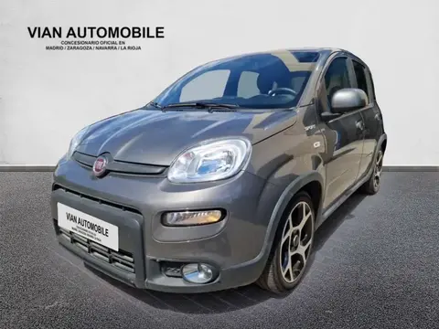 Used FIAT PANDA Petrol 2022 Ad 