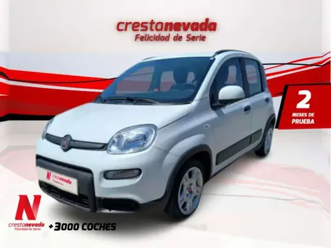 Annonce FIAT PANDA Hybride 2022 d'occasion 