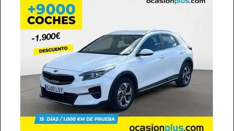 Annonce KIA XCEED Diesel 2021 d'occasion 