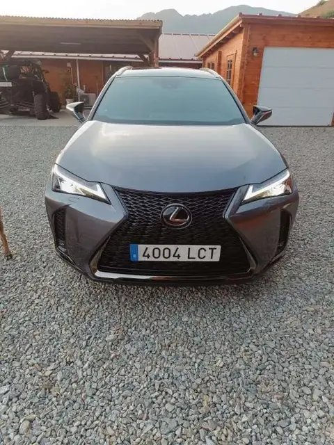 Used LEXUS UX Hybrid 2019 Ad 