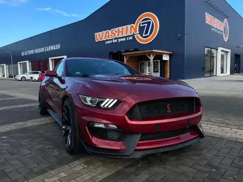 Used FORD MUSTANG Petrol 2016 Ad 