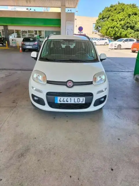 Annonce FIAT PANDA Essence 2019 d'occasion 