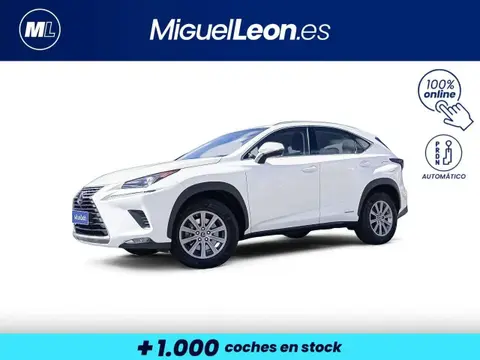 Annonce LEXUS NX Hybride 2019 d'occasion 