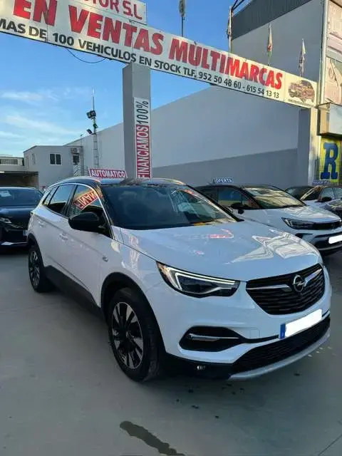 Annonce OPEL GRANDLAND Diesel 2019 d'occasion 