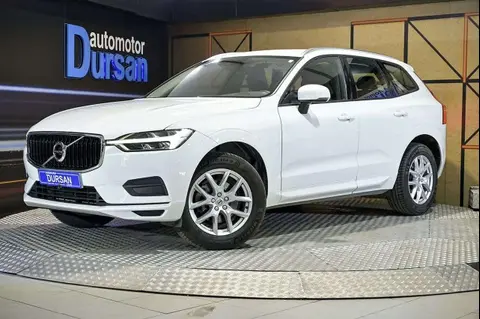 Used VOLVO XC60 Diesel 2019 Ad 