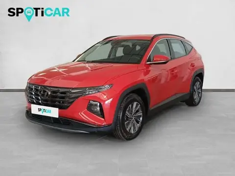 Annonce HYUNDAI TUCSON Diesel 2023 d'occasion 