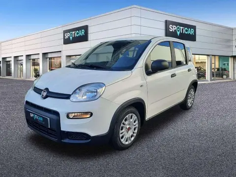 Used FIAT PANDA Petrol 2023 Ad 