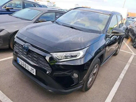 Used TOYOTA RAV4 Hybrid 2020 Ad 