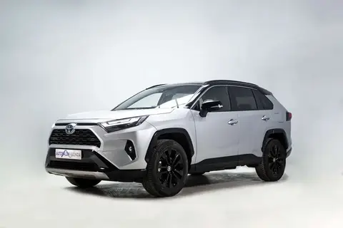 Used TOYOTA RAV4 Hybrid 2023 Ad 