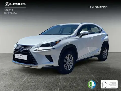 Used LEXUS NX Hybrid 2018 Ad 