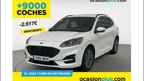 Used FORD KUGA Hybrid 2023 Ad 