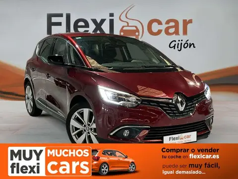 Used RENAULT SCENIC Petrol 2018 Ad 