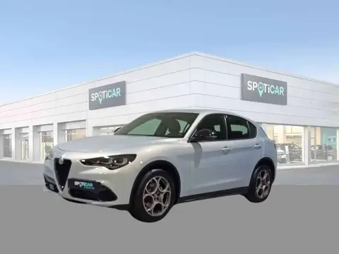 Used ALFA ROMEO STELVIO Diesel 2023 Ad 