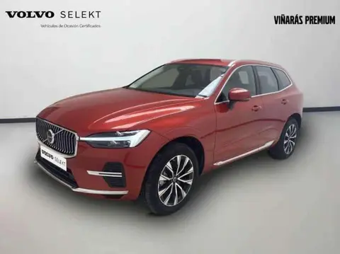 Annonce VOLVO XC60 Hybride 2023 d'occasion 