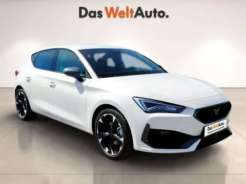 Used CUPRA LEON Petrol 2023 Ad 