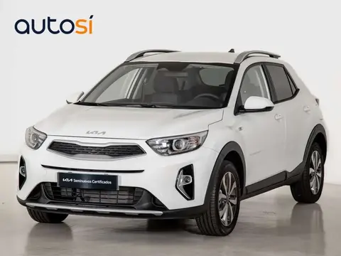 Annonce KIA STONIC Essence 2024 d'occasion 