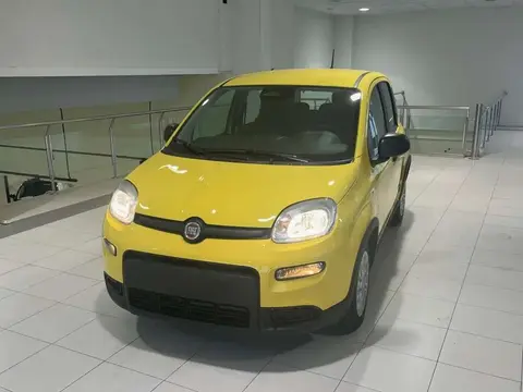 Annonce FIAT PANDA  2024 d'occasion 