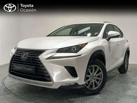 Used LEXUS NX Hybrid 2019 Ad 