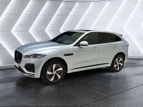 Used JAGUAR F-PACE Hybrid 2023 Ad 