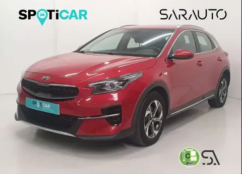 Used KIA XCEED Petrol 2020 Ad 