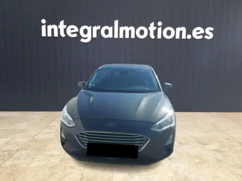 Annonce FORD FOCUS Diesel 2019 d'occasion 