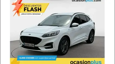 Annonce FORD KUGA Essence 2022 d'occasion 