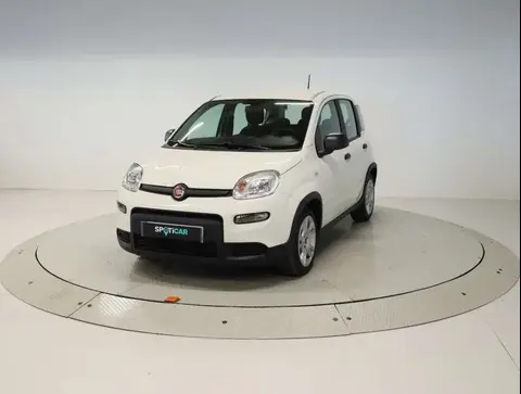 Annonce FIAT PANDA Essence 2024 d'occasion 