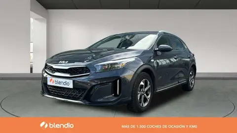 Used KIA XCEED Petrol 2023 Ad 