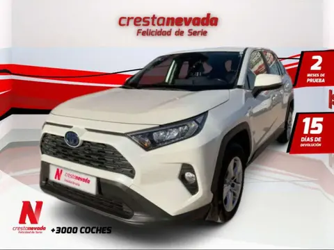 Annonce TOYOTA RAV4 Hybride 2020 d'occasion 