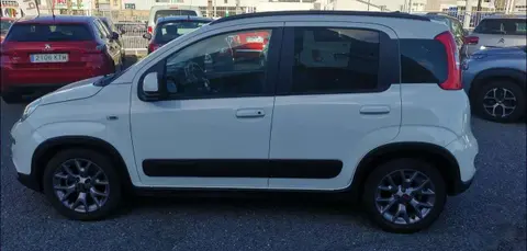 Annonce FIAT PANDA Essence 2022 d'occasion 