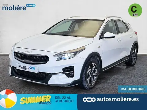 Used KIA XCEED Petrol 2022 Ad 