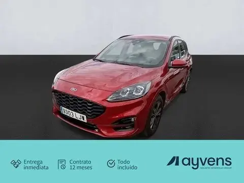 Annonce FORD KUGA Diesel 2020 d'occasion 