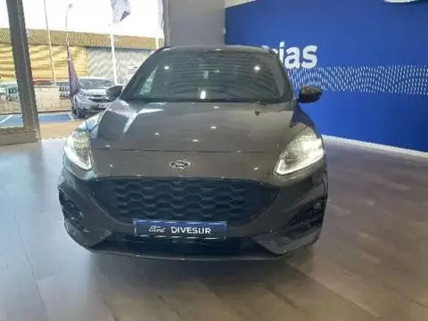 Annonce FORD KUGA Essence 2022 d'occasion 