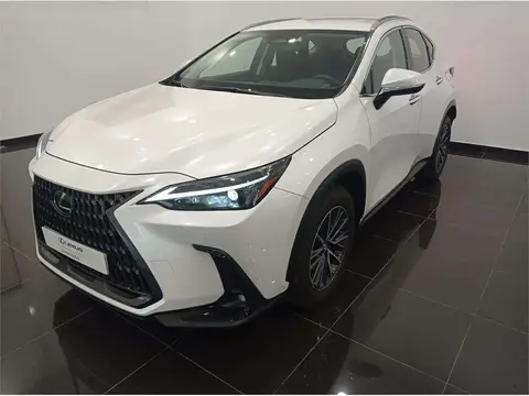 Used LEXUS NX  2023 Ad 