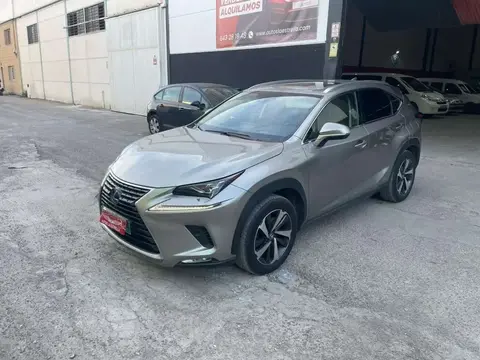 Used LEXUS NX Hybrid 2021 Ad 