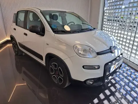 Used FIAT PANDA Petrol 2021 Ad 