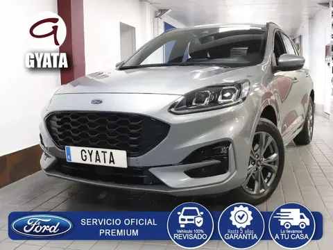 Used FORD KUGA Hybrid 2023 Ad 