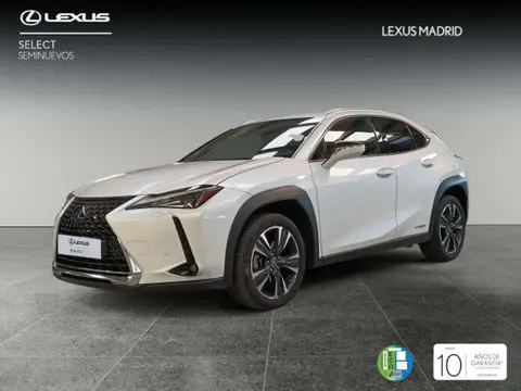 Annonce LEXUS UX Hybride 2020 d'occasion 