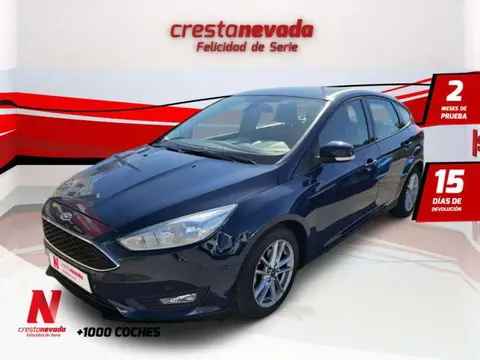 Annonce FORD FOCUS Essence 2017 d'occasion 