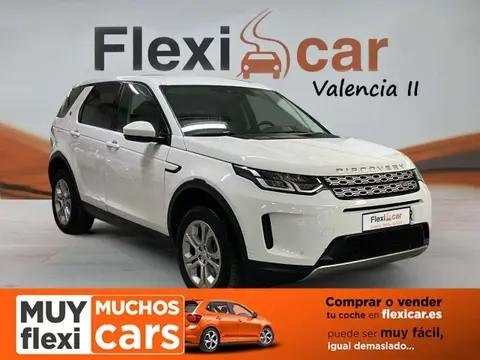 Used LAND ROVER DISCOVERY Hybrid 2020 Ad 