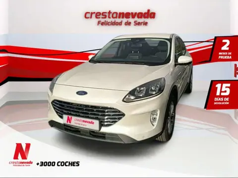 Used FORD KUGA Diesel 2021 Ad 