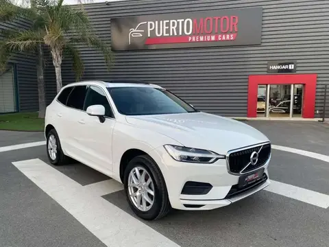 Used VOLVO XC60 Diesel 2019 Ad 