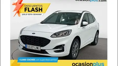 Annonce FORD KUGA Hybride 2022 d'occasion 