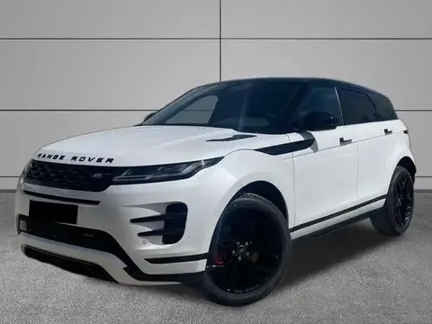 Annonce LAND ROVER RANGE ROVER EVOQUE Diesel 2024 d'occasion 