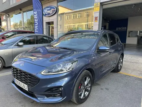 Used FORD KUGA Diesel 2021 Ad 