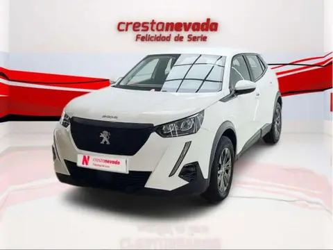 Annonce PEUGEOT 2008 Diesel 2021 d'occasion 