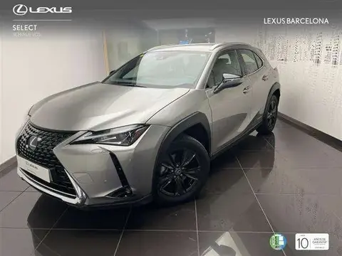 Used LEXUS UX Hybrid 2020 Ad 