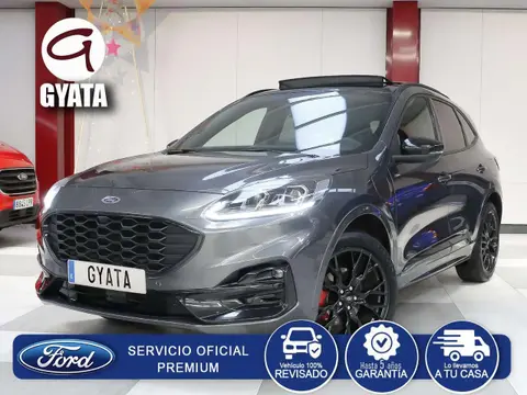 Annonce FORD KUGA Hybride 2023 d'occasion 